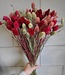 Bouquet de Phalaris dans différentes nuances de rouge.