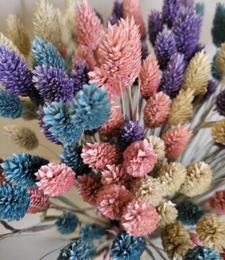 Bouquet mixte de Phalaris aux tons pastel