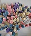 Mixed Phalaris bouquet in pastel shades