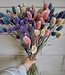 Mixed Phalaris bouquet in pastel shades