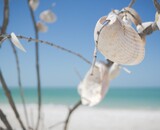 Bricolage avec des coquillages pendant les vacances d'été : idées créatives pour utiliser les trouvailles de la plage