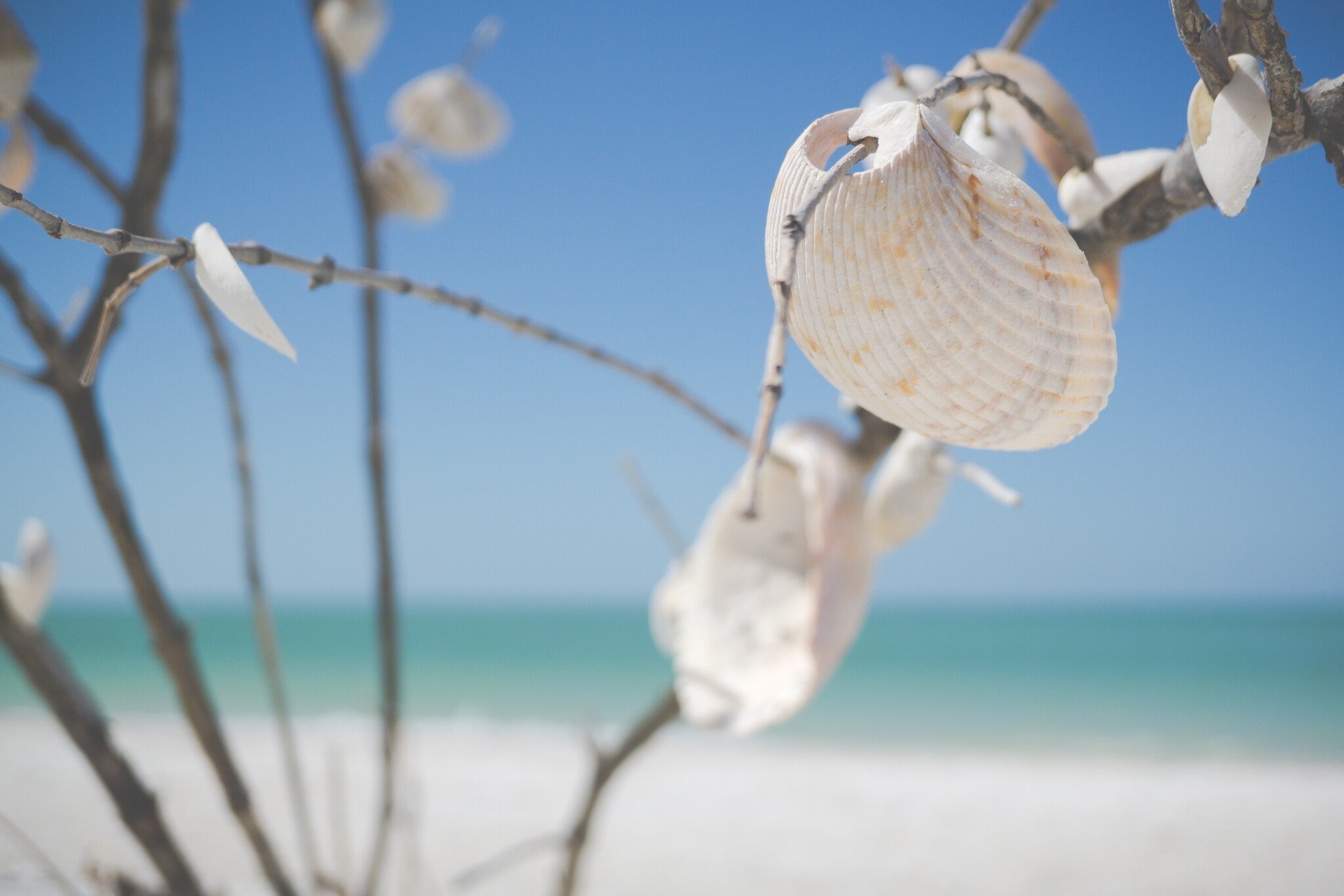 Bricolage avec des coquillages pendant les vacances d'été : idées créatives pour utiliser les trouvailles de la plage