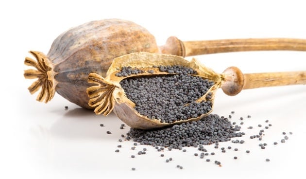 The Magic of Dried Poppy Seeds: Versatile Applications and Culinary Adventures