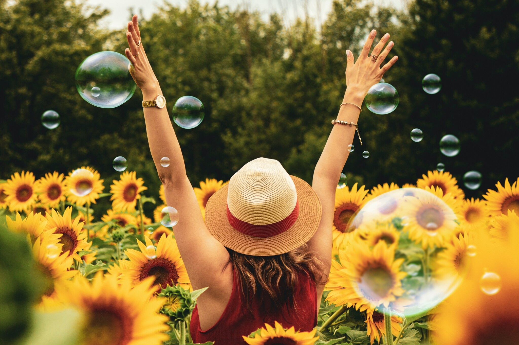 Langanhaltende frische Blumen im Sommer: Bringe die Schönheit der Saison ins Haus