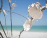 Basteln mit Muscheln in den Sommerferien: Kreative Ideen zur Verwendung von Strandfunden