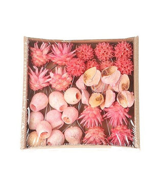 MyFlowers Roze droogdeco Exotic mix/draad (x35)