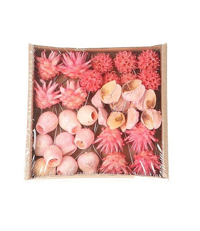 Roze droogdeco Exotic mix/draad | Per 35 stuks