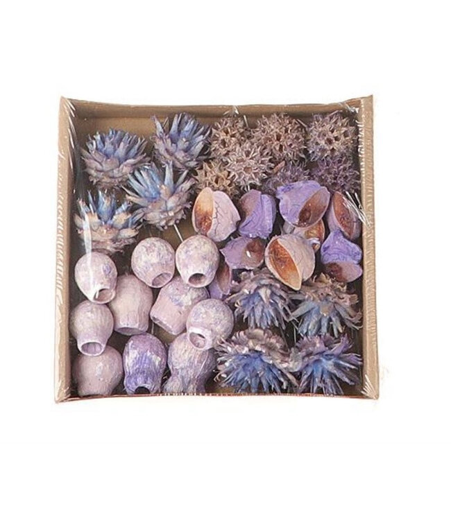 Lilac dry deco Exotic mix/thread | Per 35 pieces