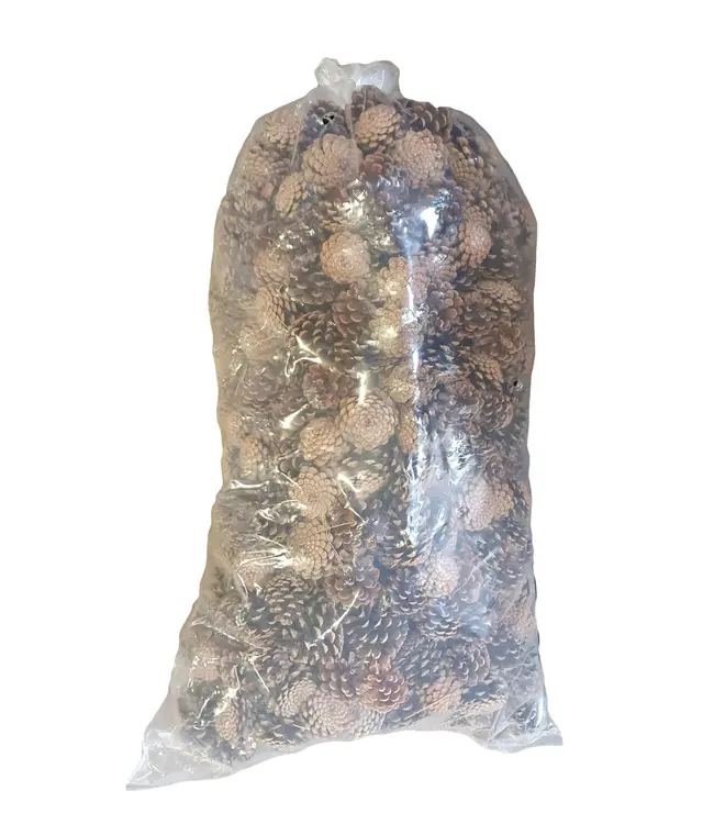 Large bag of pine cones | 10 kg packed | Natural