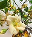 Bouquet of silk flowers "Autumn Apples" | Apple green silk flowers