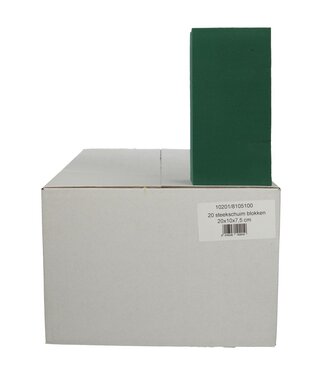 MyFlowers Groen steekschuim Blok 20*10*7.5 centimeter (x20)