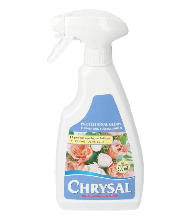 Care Chrysal Prof. Glory 500ml | Can be ordered per piece