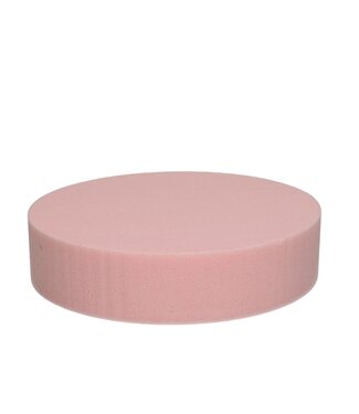 OASIS Lichtroze Oasis Kleur Cake diameter 20*5 centimeter (x2)