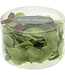 MyFlowers Lime green artificial flowers Rose petals (x150)