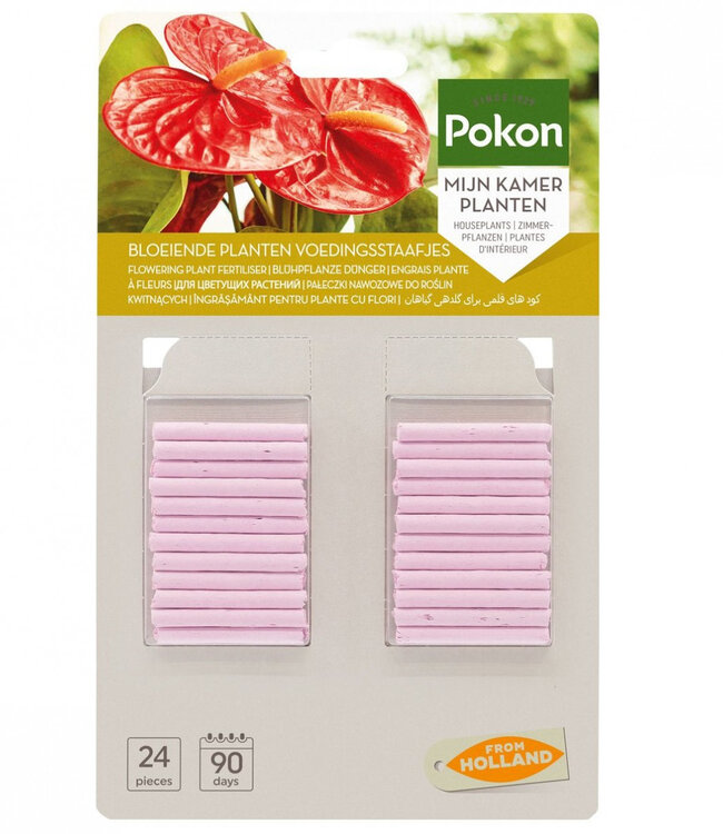 Soins des plantes Pokon rose clair | Par 24 pièces