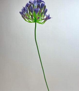 Silk Flowers by JJ Blauwe Agapanthus | zijden kunstbloem | 75 centimeter