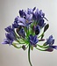 Blauwe Agapanthus | Zijden kunstbloem | Lengte 75 centimeter