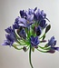 Blue Agapanthus | Silk artificial flower | Length 75 centimeters