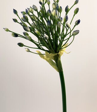 Silk Flowers by JJ Blue Allium | silk artificial flower | 70 centimeters