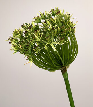 Groene Allium | zijden kunstbloem | 90 centimeter