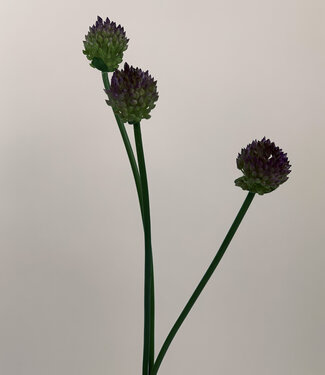 Silk Flowers by JJ Paarse Allium | zijden kunstbloem | 66 centimeter