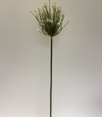 Silk Flowers by JJ Weißes Allium | Kunstblume aus Seide | 100 Zentimeter