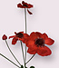 Red Anemone | Silk artificial flower | Length 73 centimeters