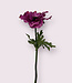 Pink Anemone | Silk artificial flower | Length 35 centimeters