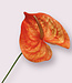 Oranje Anthurium | Zijden kunstbloem | Lengte 66 centimeter