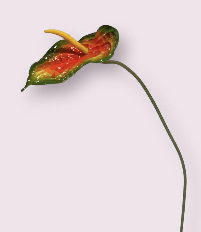 Orange Anthurium | Silk artificial flower | Length 74 centimeters