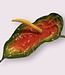 Anthurium orange | Fleur artificielle en soie | Longueur 74 centimètres