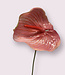 Anthurium rose | Fleur artificielle en soie | Longueur 70 centimètres