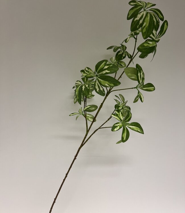 Groene Aralia | Zijden kunstbloem | Lengte 95 centimeter