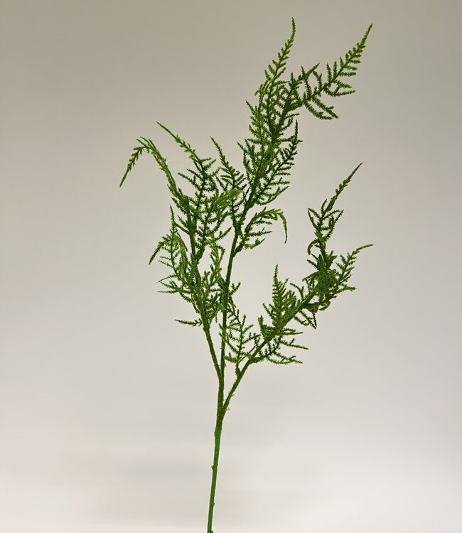 Groene Asparagus Tak | Zijden kunstbloem | Lengte 69 centimeter