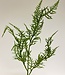 Branche d'asperges vertes | Fleur artificielle en soie | Longueur 69 centimètres