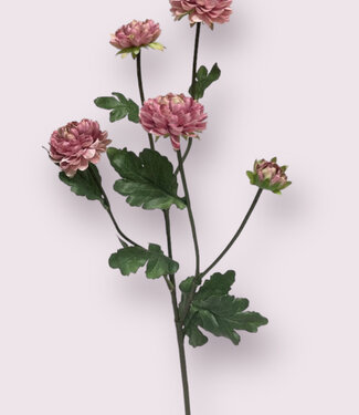 Pink Aster | silk artificial flower | 68 centimeters