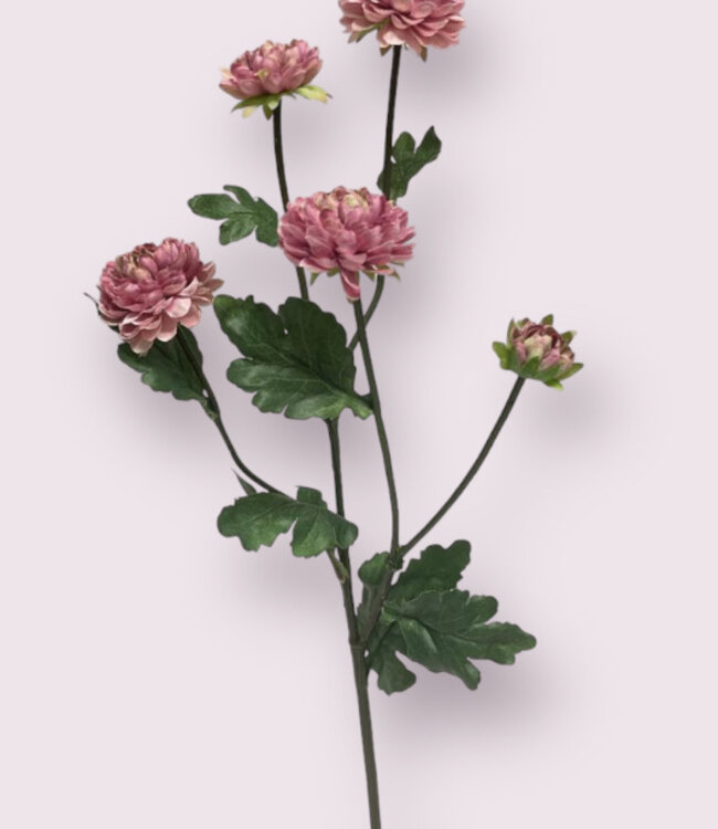 Pink Aster | Silk artificial flower | Length 68 centimeters