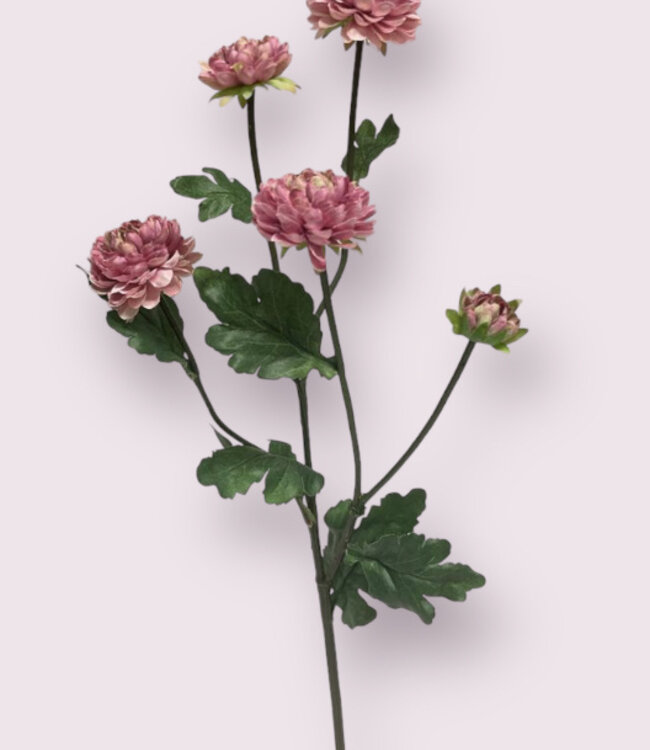 Roze Aster | Zijden kunstbloem | Lengte 68 centimeter