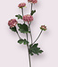 Pink Aster | Silk artificial flower | Length 68 centimeters