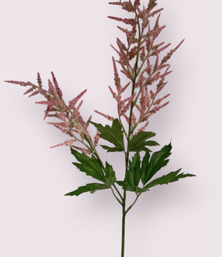 Silk Flowers by JJ Roze Astilbe | zijden kunstbloem | 90 centimeter