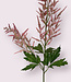 Roze Astilbe | Zijden kunstbloem | Lengte 90 centimeter