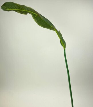 MyFlowers Green Banana Leaf | silk artificial flower | 100 centimeters