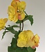 Gele korte Begonia | Zijden kunstbloem | Lengte 30 centimeter