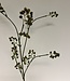 Branche de baies vertes | Fleur artificielle en soie | Longueur 80 centimètres