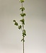 White Berry Branch | Silk artificial flower | Length 80 centimeters