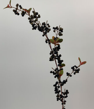 MyFlowers Zwarte Bessentak | zijden kunstbloem | 75 centimeter