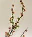 Pink Blossom | Silk artificial flower | Length 120 centimeters