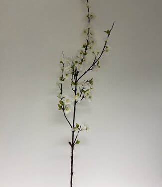 MyFlowers Witte Bloesem | zijden kunstbloem | 125 centimeter