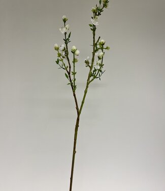 Witte Bloesem | zijden kunstbloem | 77 centimeter