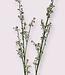 White Blossom | Silk artificial flower | Length 95 centimeters